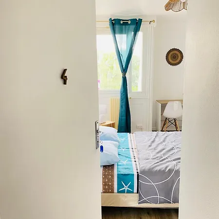 Sadam Nest - 4